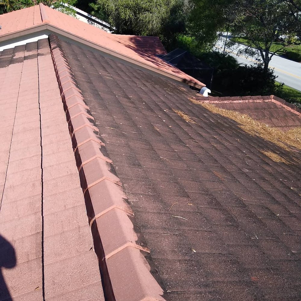 Slide of Pure Flow Soft Wash and Pressure Washing