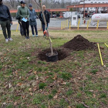 Trees Charlotte - Trees Charlotte tree giveaway event - Tree Services Near Me - Charlotte, North Carolina Trees Charlotte - Trees Charlotte tree giveaway event - Tree Services Near Me - Charlotte, North Carolina