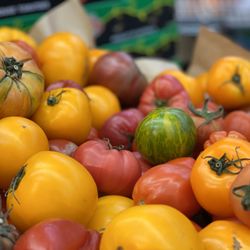 Harris Farm Markets - Tomatoes
