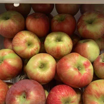 Barden Orchards - Some  freshly picked honeycrisp, liberty and gala apples safe and sound in my fridge - Farmers Market Near Me - North Scituate, Rhode Island