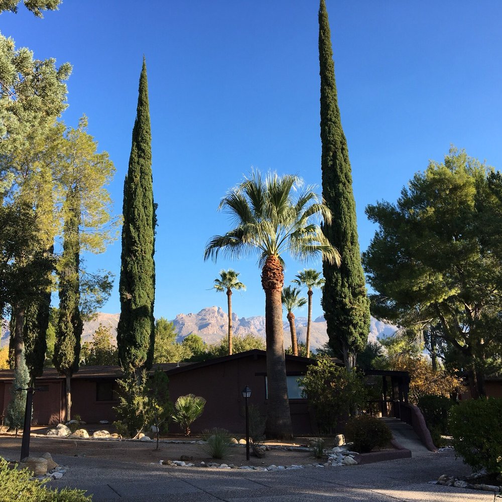 Canyon Ranch Tucson - Beautiful view of mountains - Resorts Near Me - Tucson, Arizona