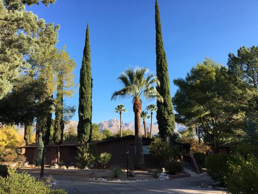 Canyon Ranch Tucson by null