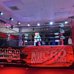 Micro Wrestling Federation at the Microtorium - Micro Tiger