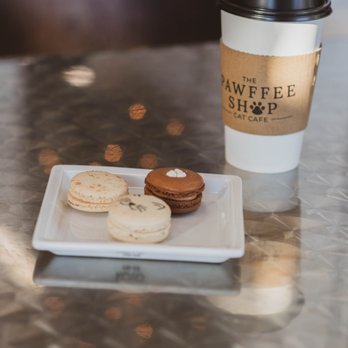 The Pawffee Shop Cat Cafe - a plate of cookies and a cup of coffee - Cafes Near Me - Appleton, Wisconsin
