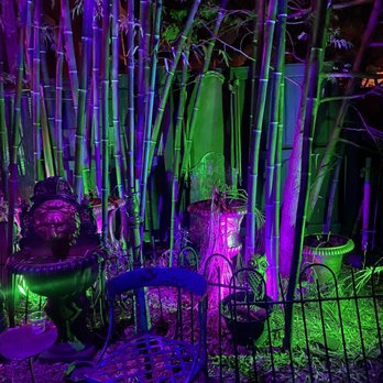 Little Miss Whiskey's Golden Dollar