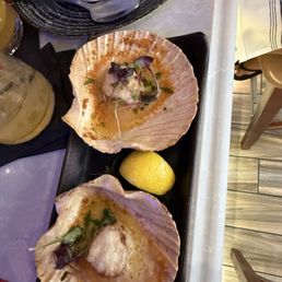 Scallops Gratin