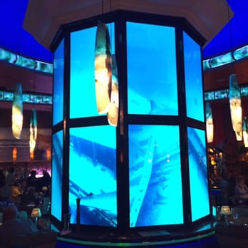 Bimini Steakhouse - An aquarium in middle of room. Virtual aquarium that is. - Steakhouses Near Me - Reno, Nevada