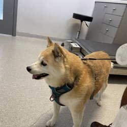 Goose Creek Veterinary Hospital