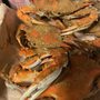 Photo of Crab Shack