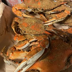 Crab Shack - Medium males