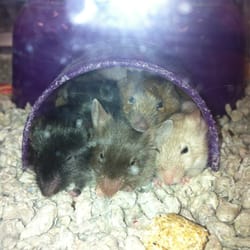 Petsmart 2019 All You Need To Know Before You Go With Photos