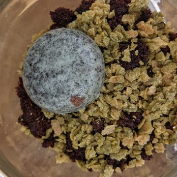 Terrain Cafe - Devon - DO NOT ORDER - Terrarium dessert. $12 for soggy/stale matcha "crumble" and dry cake. Tasted like it was super old. - New American Near Me - Devon, Pennsylvania