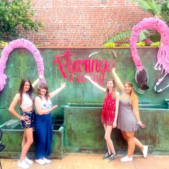 Flamingo A Go Go - Photo op - New American Near Me - New Orleans, Louisiana Flamingo A Go Go - Photo op - New American Near Me - New Orleans, Louisiana