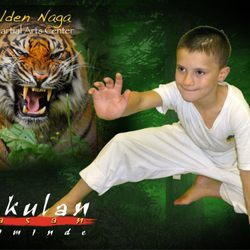 Golden Naga Martial Arts Center