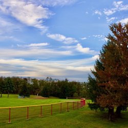 Turner Friendship Park