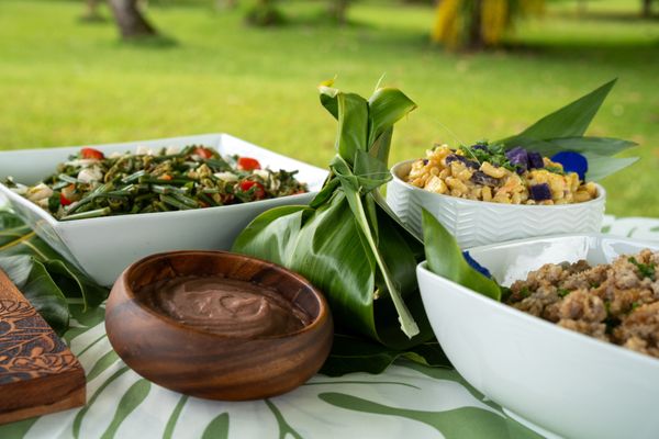 WAIPA FOUNDATION - Updated April 2026 - 39 Photos & 16 Reviews - 55 ...