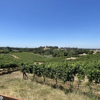 Wise Villa Winery - Great views still.. - Wine Tasting Room Near Me - Lincoln, California Wise Villa Winery - Great views still.. - Wine Tasting Room Near Me - Lincoln, California