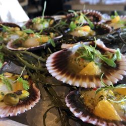 Water Grill - Santa Monica