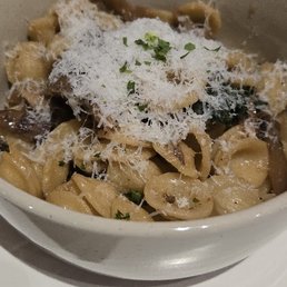 mushroom orecchiette mushroom orecchiette