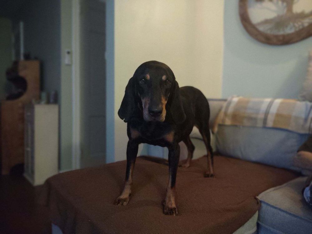 WOODBRIDGE VETERINARY GROUP Updated September 2024 82 Reviews 424 Amboy Ave, Woodbridge