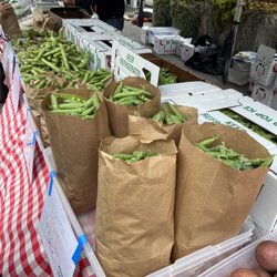 Iacopi Farms - If it's a bean then look for Iacopi Farms