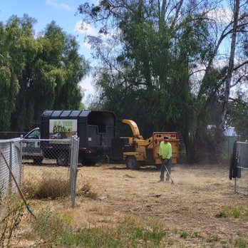 HP Tree Service - Tree Services Near Me - Temecula, California