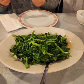 Ocean Chinese Seafood Restaurant - Chinese Near Me - Arlington, Texas Ocean Chinese Seafood Restaurant - Chinese Near Me - Arlington, Texas