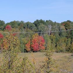 Boardman River Nature Center