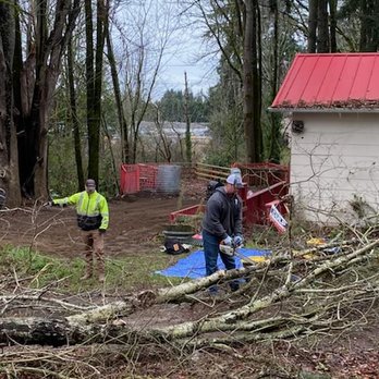 Brundage Tree Service - They did a lot of clearing of the branches. - Tree Services Near Me