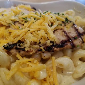 Tricky Fish - Macaroni and Cheese w/ grilled Chicken... - Seafood Near Me - Richardson, Texas Tricky Fish - Macaroni and Cheese w/ grilled Chicken... - Seafood Near Me - Richardson, Texas