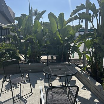 Twee Coffee - outdoor - Coffee & Tea Near Me - Riverside, California Twee Coffee - outdoor - Coffee & Tea Near Me - Riverside, California