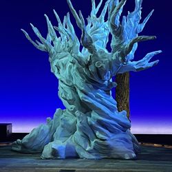 A Forest For The Trees