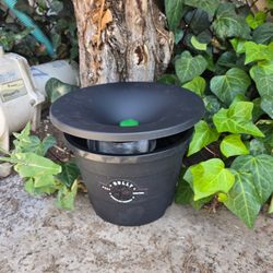 Bully Pest Control - In 2 care mosquitoe service