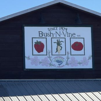 Bush-N-Vine Farm - Signage - Fruits & Veggies Near Me - York, South Carolina