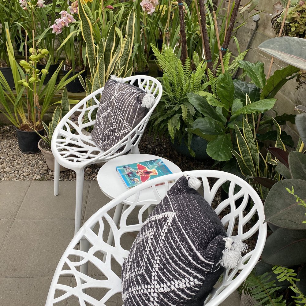 Gallup & Stribling Orchids - Seating provided to customers - Visitor Centers Near Me - Carpinteria, California