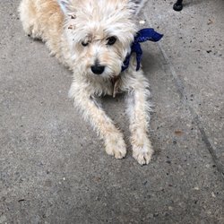 Bertrand - This is the owner-His name is Bertrand!