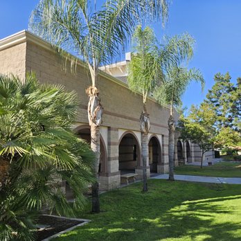 LV Landscape - palm tree pruning - Landscaping Near Me - Moreno Valley, California LV Landscape - palm tree pruning - Landscaping Near Me - Moreno Valley, California
