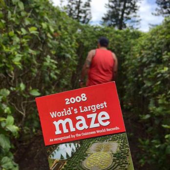 Dole Pineapple Garden Maze - Botanical Gardens Near Me - Wahiawa, Hawaii Dole Pineapple Garden Maze - Botanical Gardens Near Me - Wahiawa, Hawaii