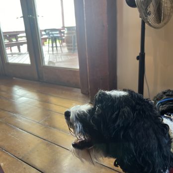 Leidenfrost Vineyards - Dog friendly inside and outside - Wineries Near Me - Hector, New York Leidenfrost Vineyards - Dog friendly inside and outside - Wineries Near Me - Hector, New York
