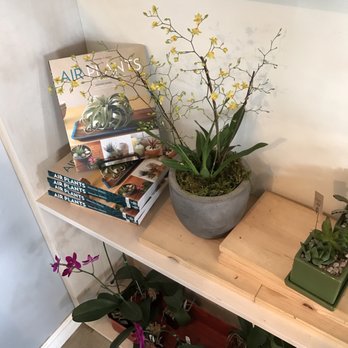 Paiko - Florists Near Me - Honolulu, Hawaii