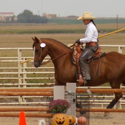 Plane View Farm - Working Equitation at Plane View Farm