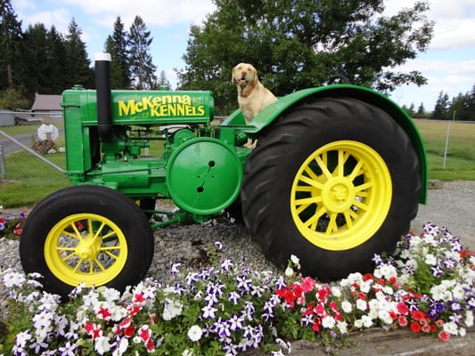 McKenna Kennels Pet Resort