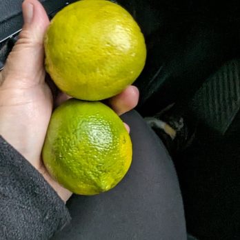 Farm Boy - Yellowish limes...hoping they're not dry like at the larger grocery stores - Grocery Near Me - Sherman Oaks, California