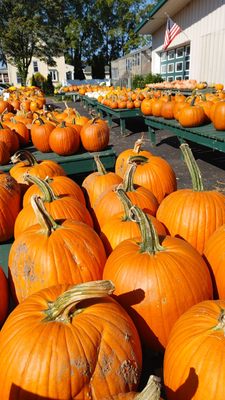 Aman's Farm & Market