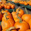 Aman's Farm & Market gift card