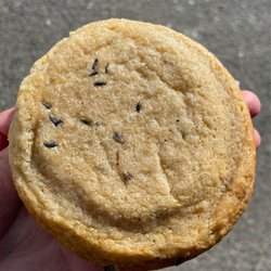 Sebastopol Cookie Company - Lemon lavender cookie