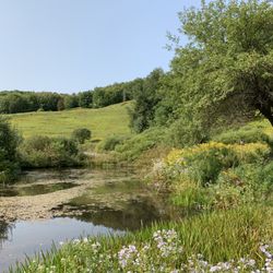 Sheep Hill - Beginning of the trail