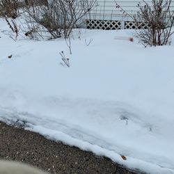 Star Tribune - Is that a paper melting out of a snow bank?