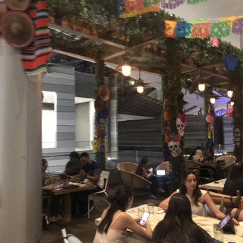 Tacology - Mexican Near Me - Miami, Florida