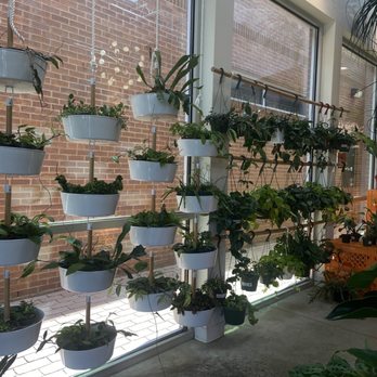 The Flora Culture - Floral Designers Near Me - Houston, Texas The Flora Culture - Floral Designers Near Me - Houston, Texas